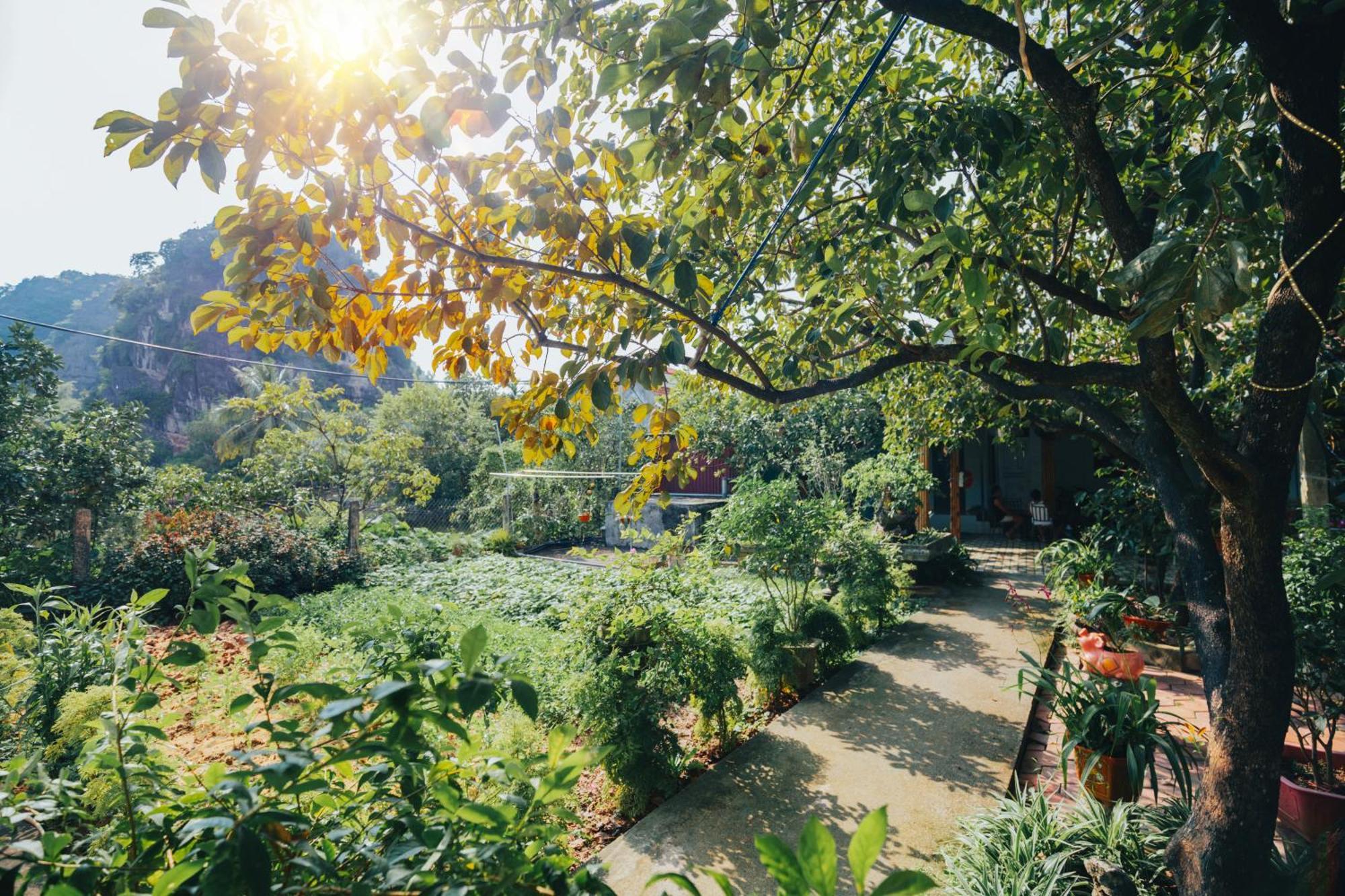 Blue Garden Homestay Ninh Binh Bagian luar foto