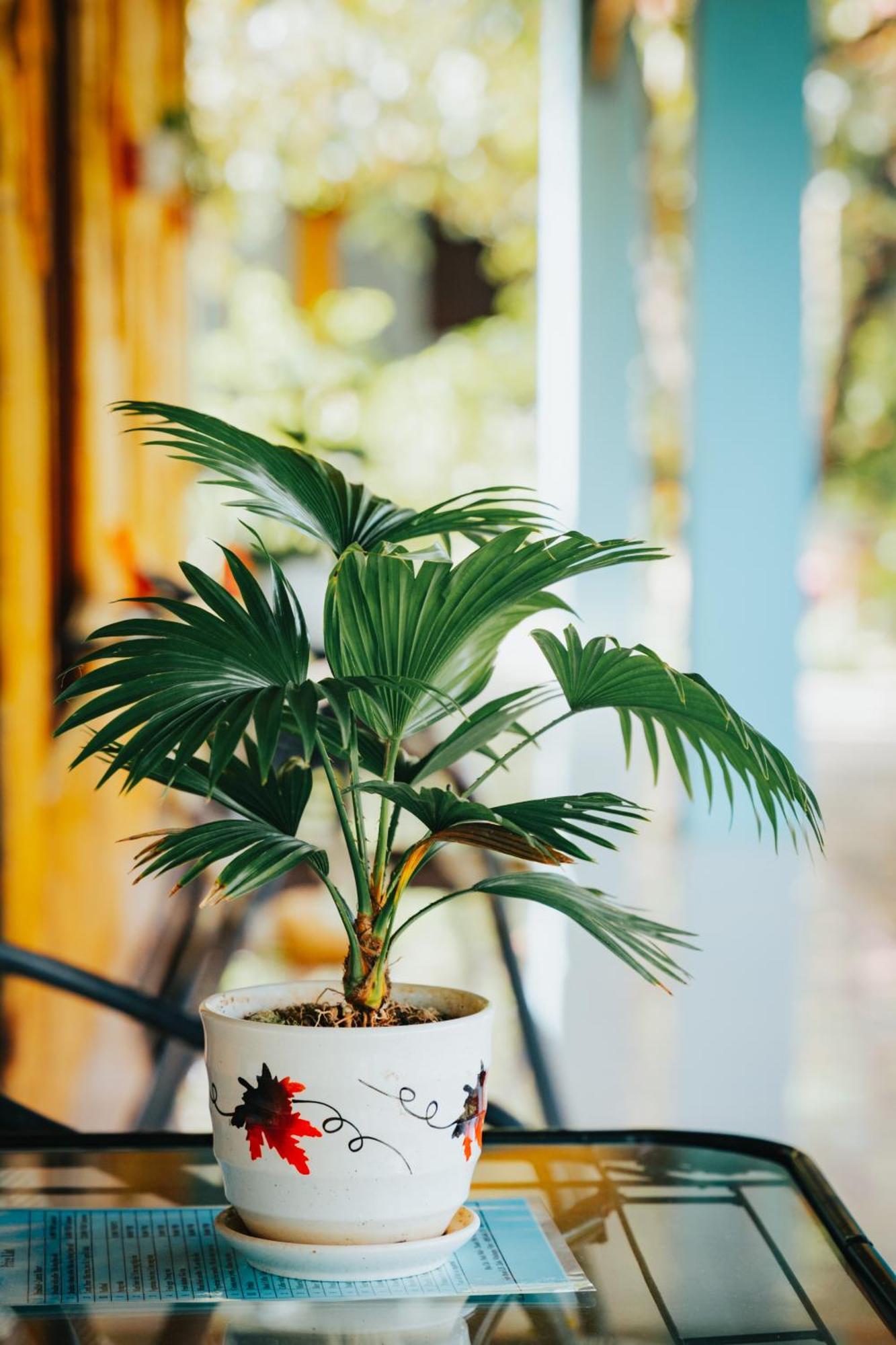 Blue Garden Homestay Ninh Binh Bagian luar foto