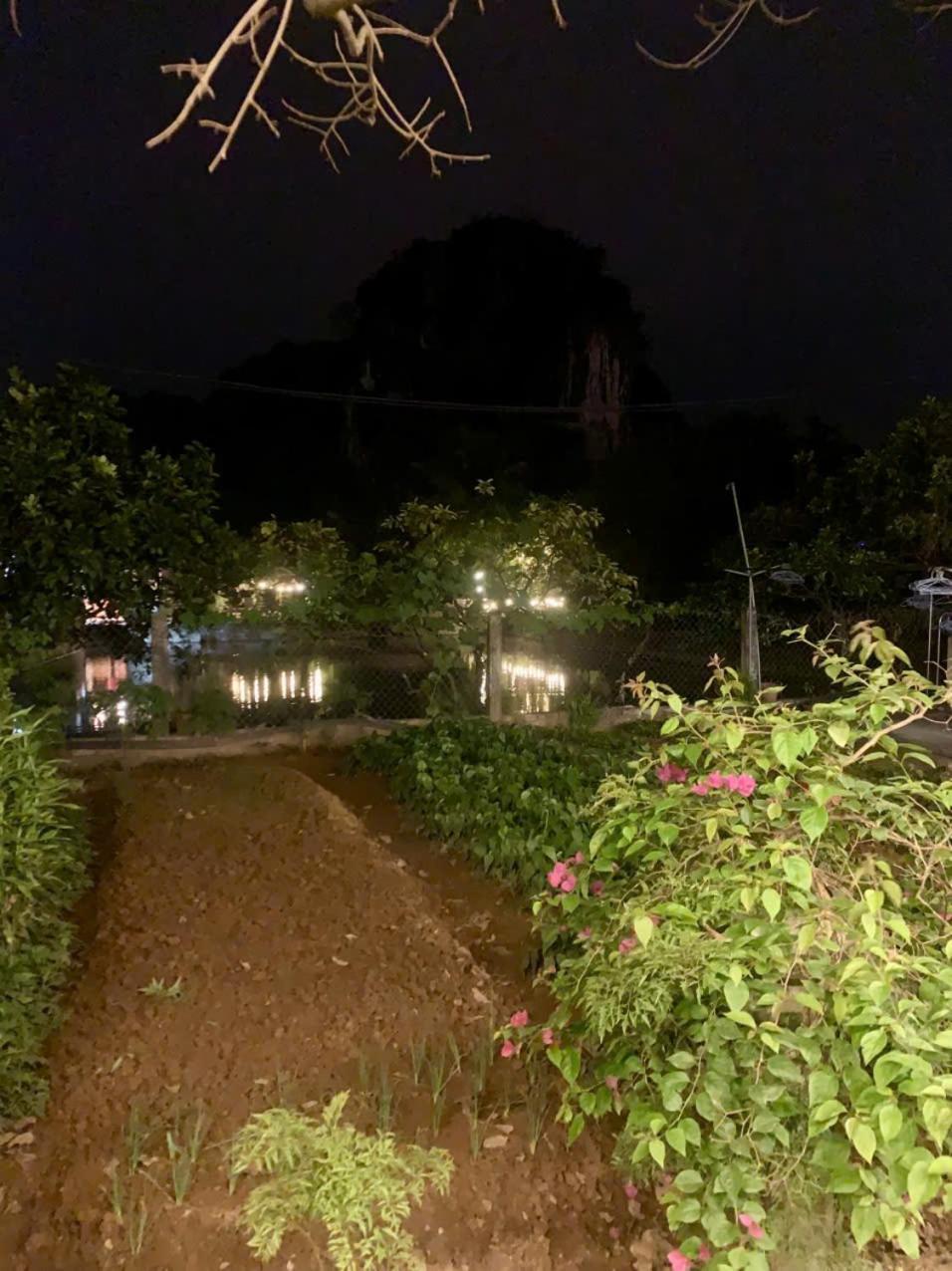 Blue Garden Homestay Ninh Binh Bagian luar foto