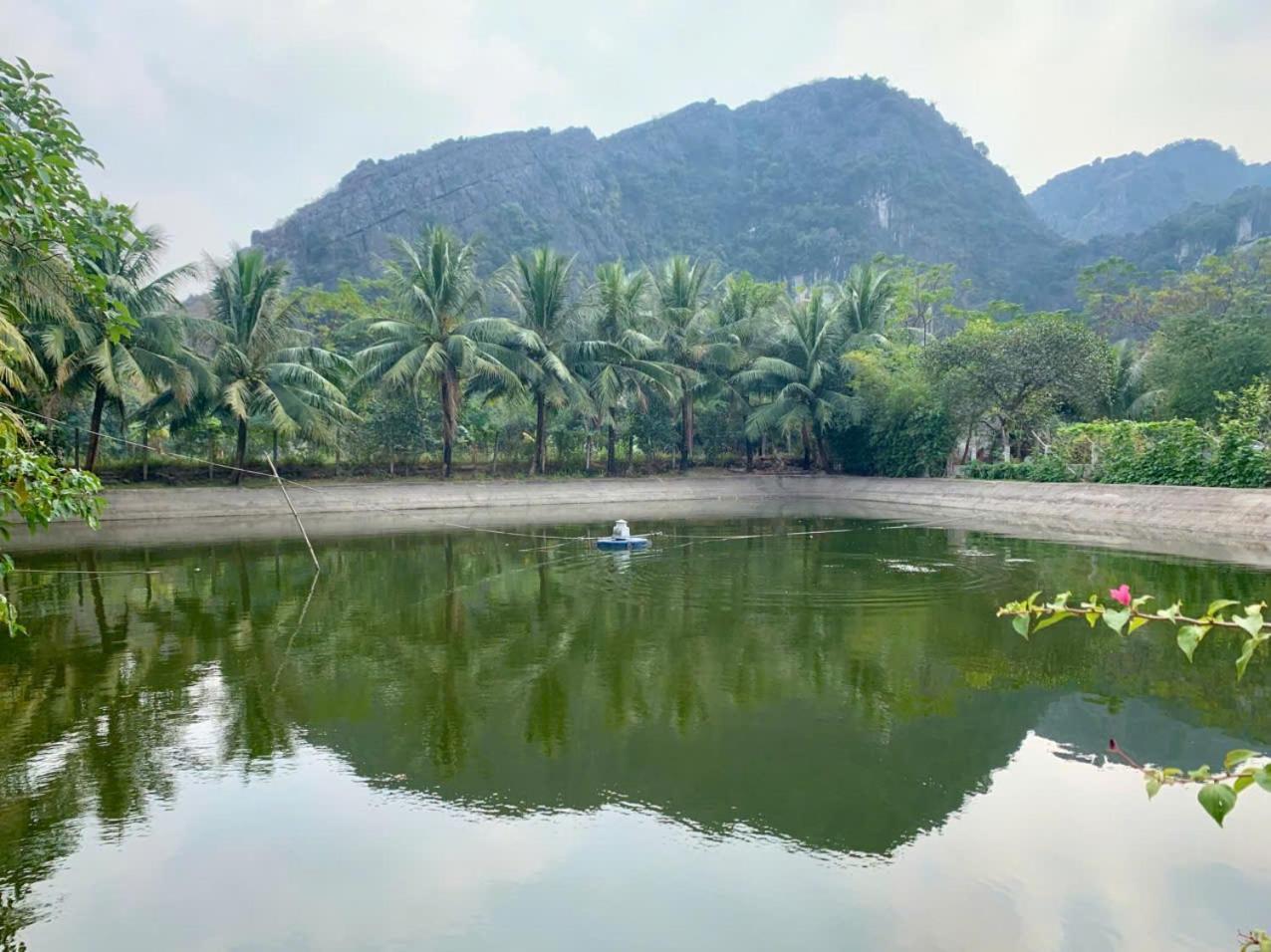 Blue Garden Homestay Ninh Binh Bagian luar foto