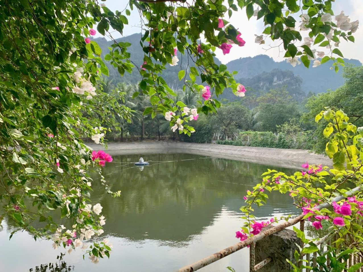 Blue Garden Homestay Ninh Binh Bagian luar foto
