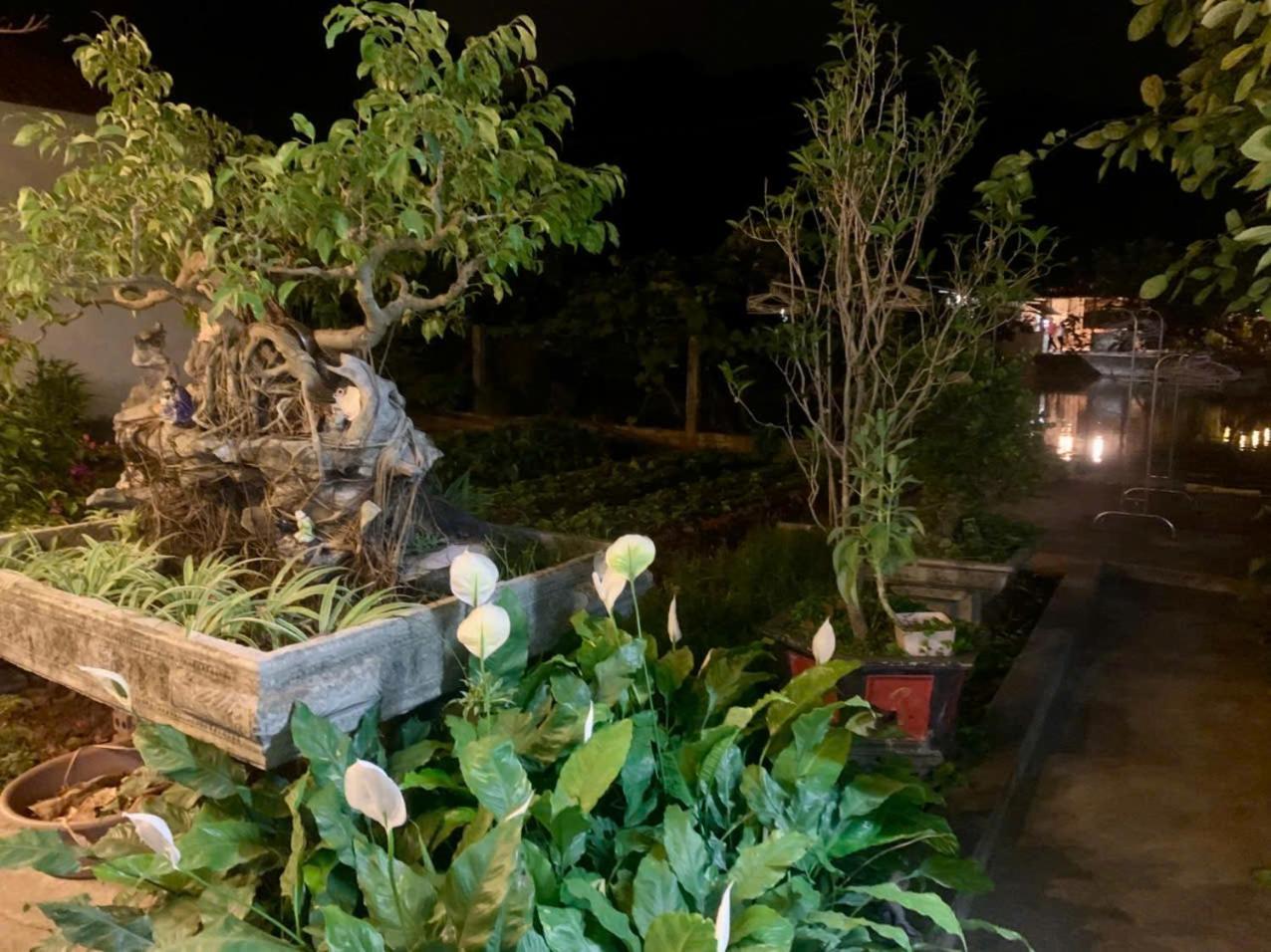 Blue Garden Homestay Ninh Binh Bagian luar foto