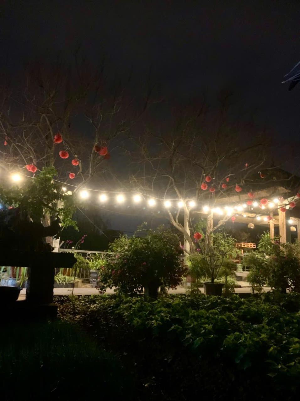 Blue Garden Homestay Ninh Binh Bagian luar foto