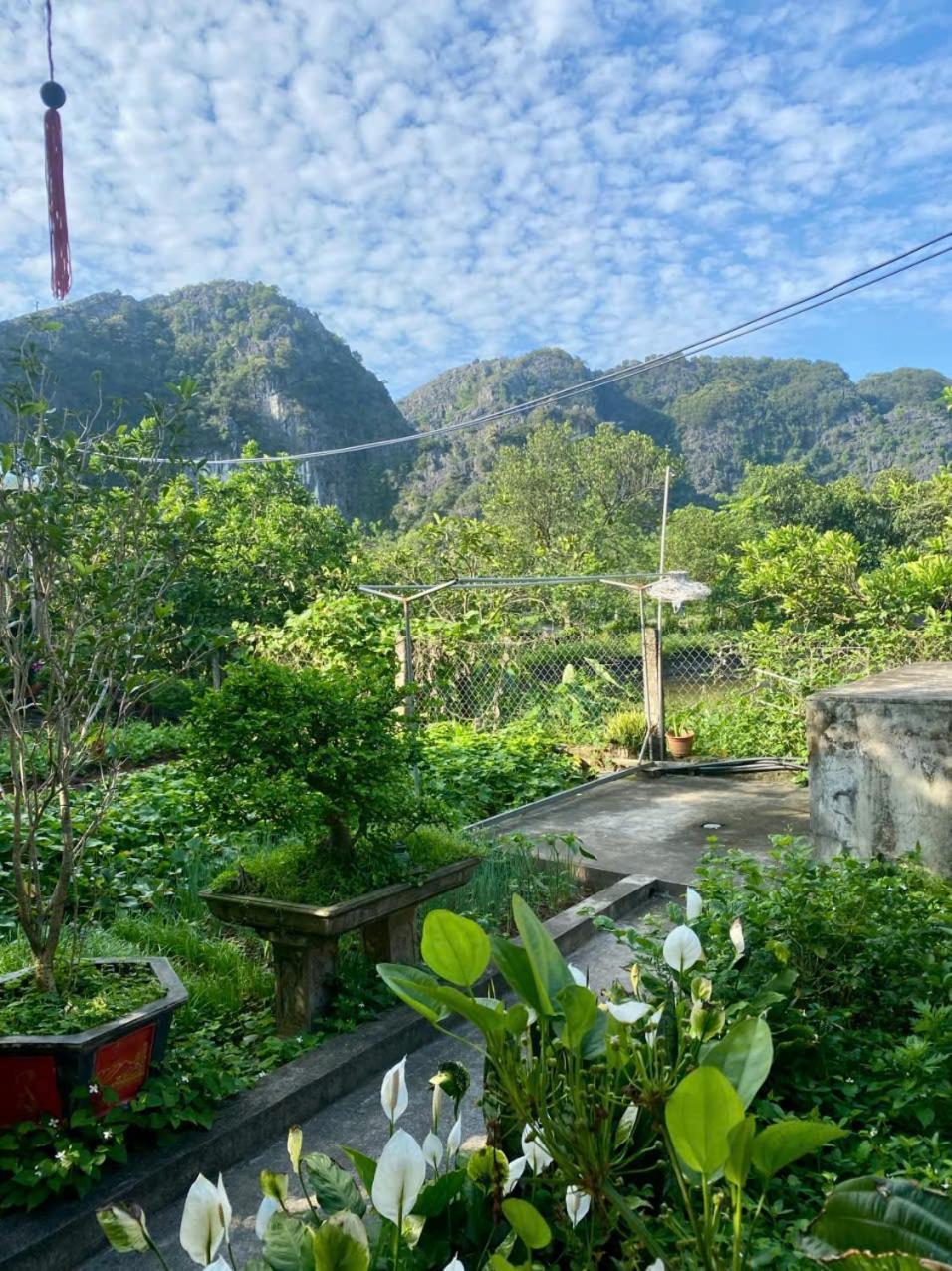 Blue Garden Homestay Ninh Binh Bagian luar foto