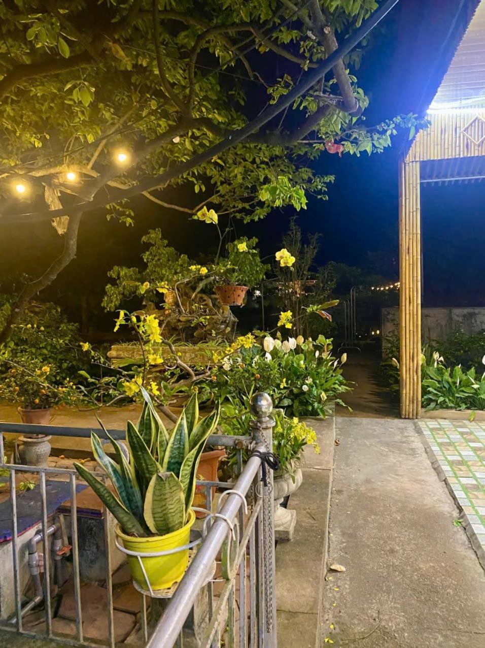 Blue Garden Homestay Ninh Binh Bagian luar foto