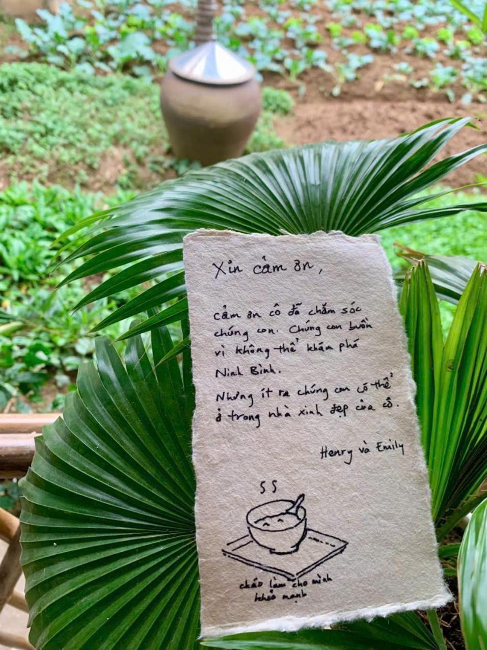 Blue Garden Homestay Ninh Binh Bagian luar foto