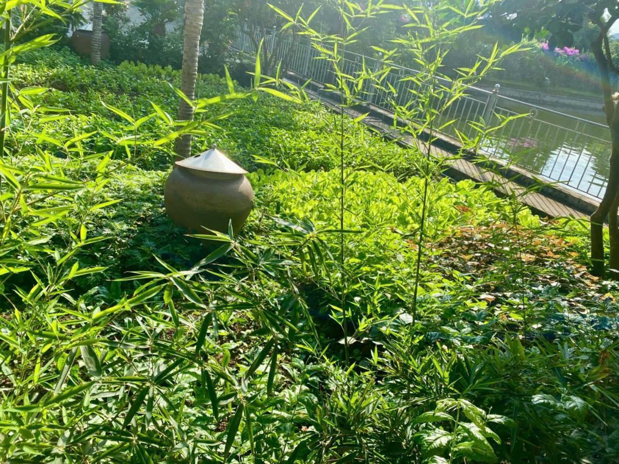 Blue Garden Homestay Ninh Binh Bagian luar foto